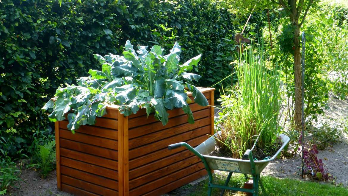How to Build a Raised Bed EASY and CHEAP