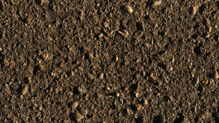 When and How to Test the pH of your Soil