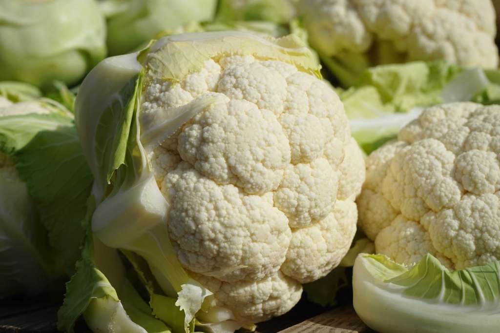 How to grow Cauliflower
