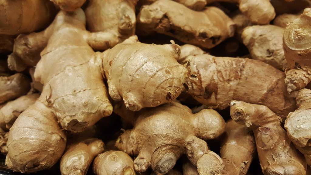 How to grow Ginger