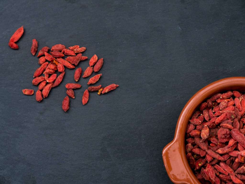 How to grow Goji Berries
