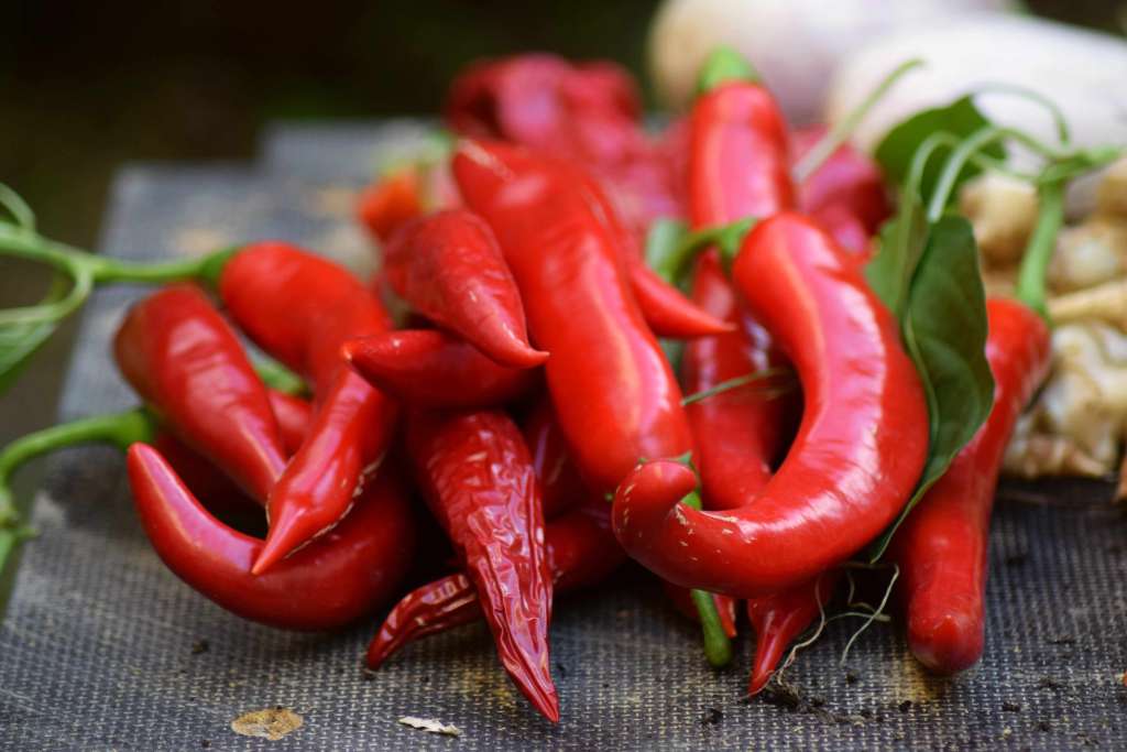 How to grow Peppers