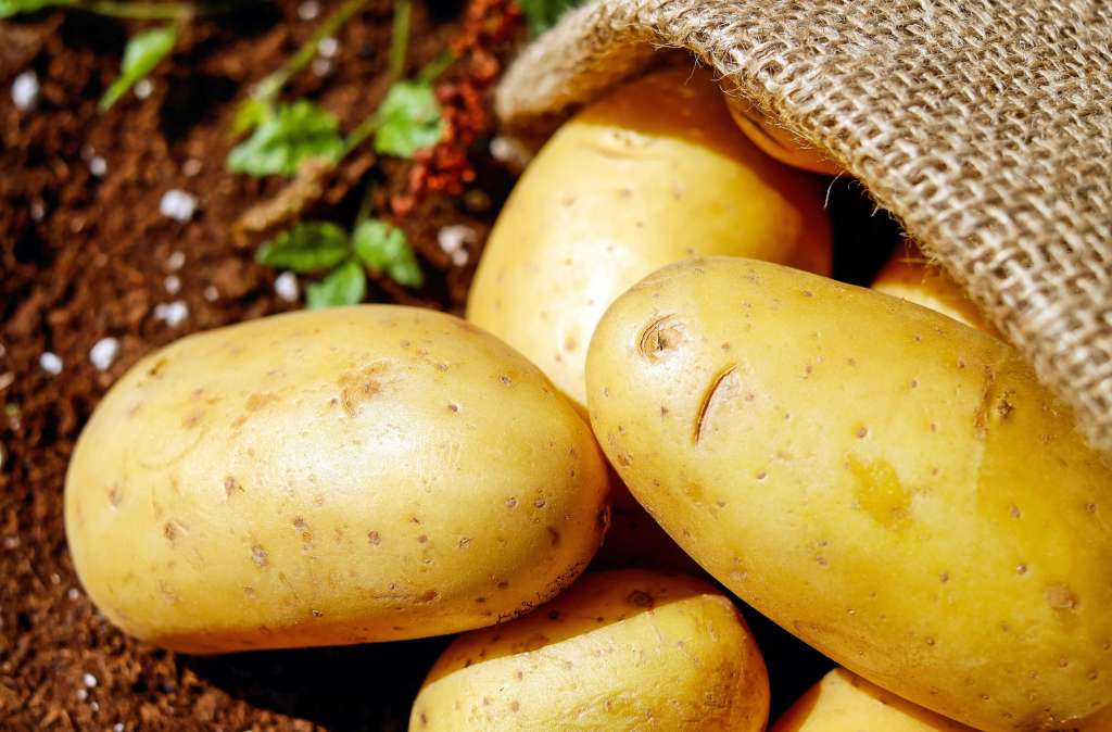 How to grow Potatoes