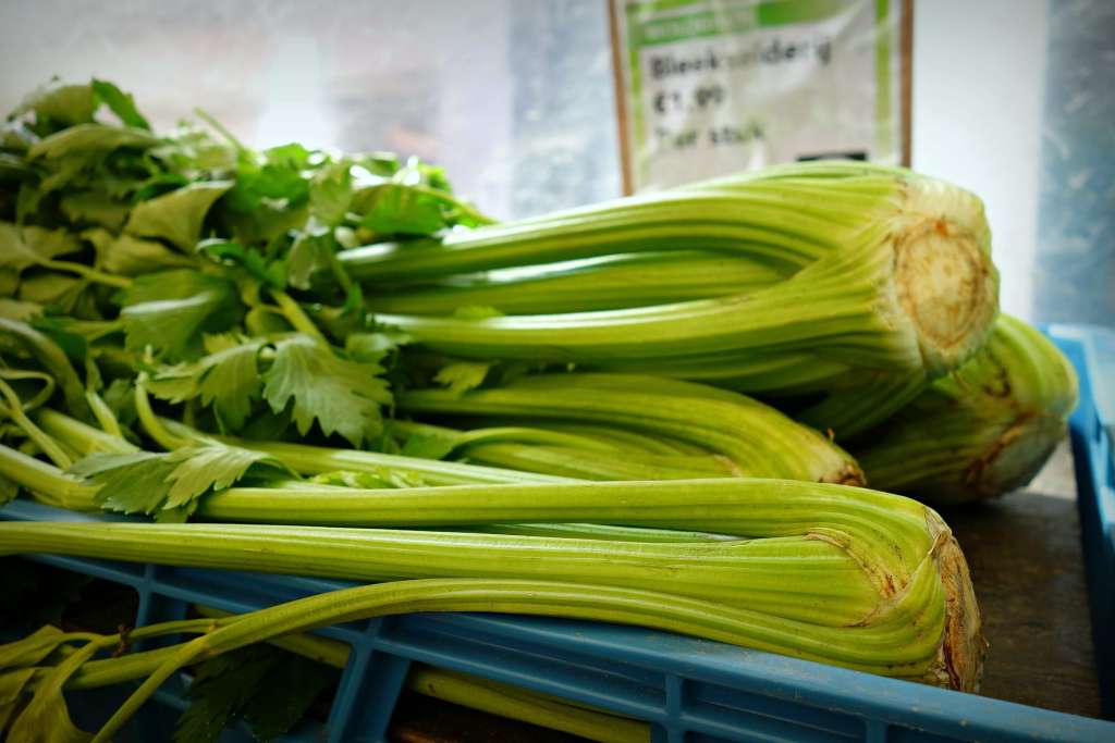 How to grow Celery