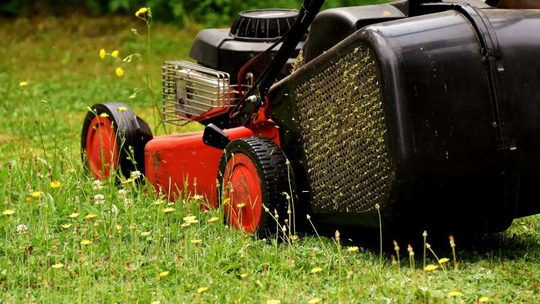Everything You Need to Know About Lawn Mowers
