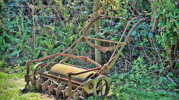 Why, How, and When to Use a Lawn Roller