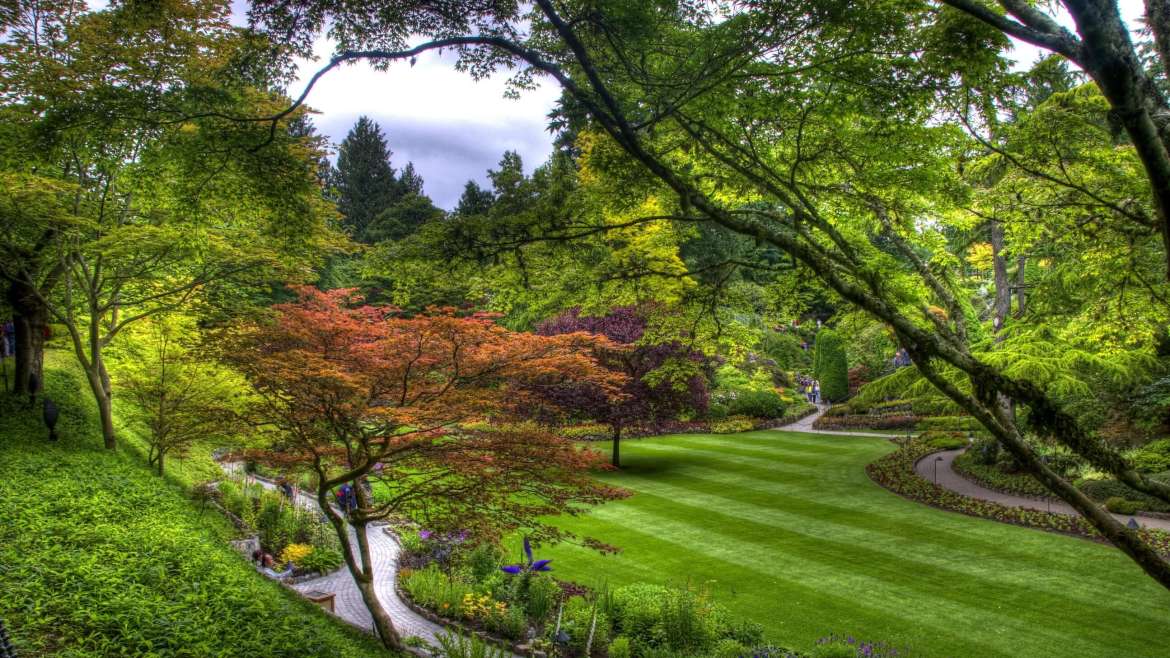 Lawn Striping: Get a Perfectly Striped Lawn