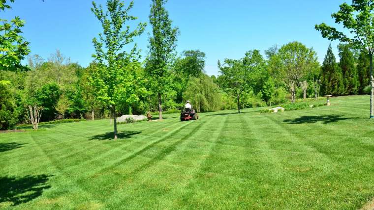 The Complete Guide to Lawn Mowing: All What You Need to Know
