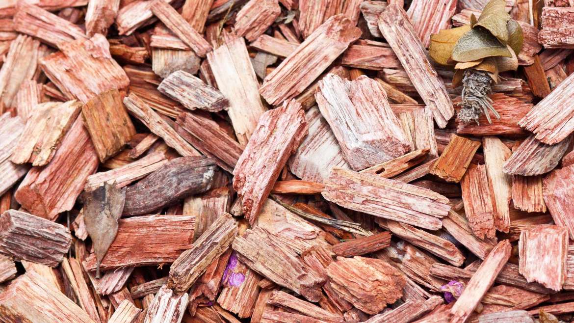 Best Organic Mulching Techniques to Boost Your Garden’s Health