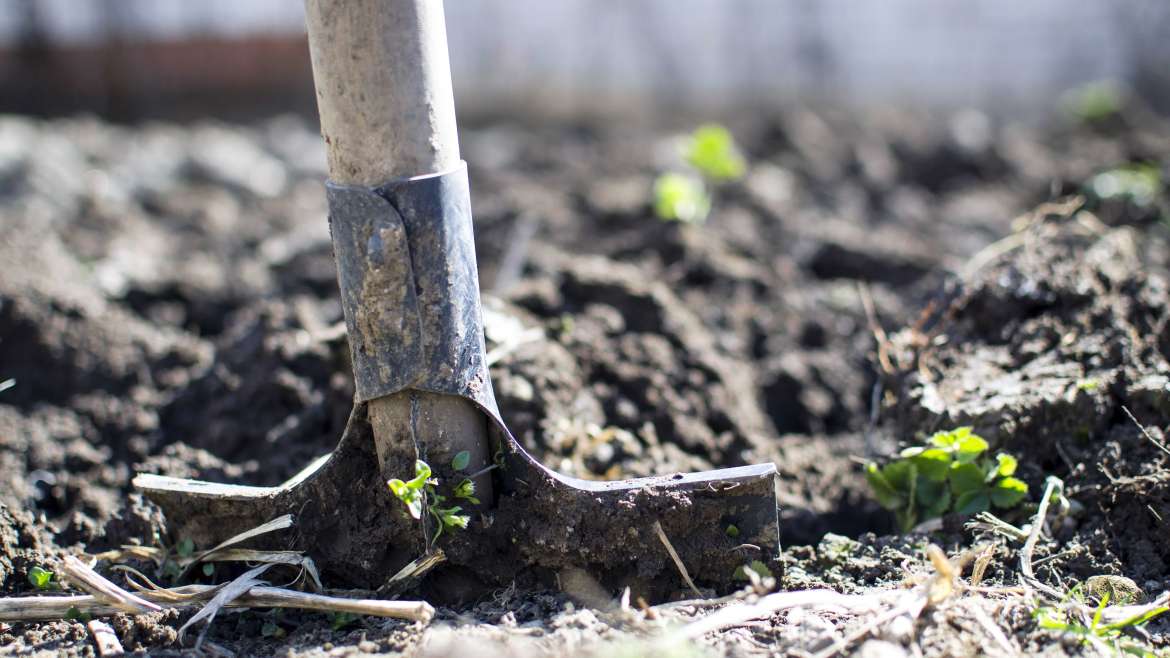 Organic Soil: How to Create Organic Soil for Your Garden