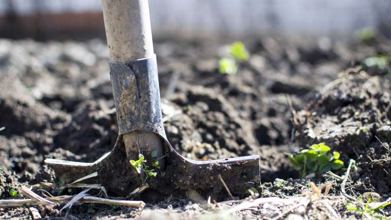 Organic Soil: How to Create Organic Soil for Your Garden
