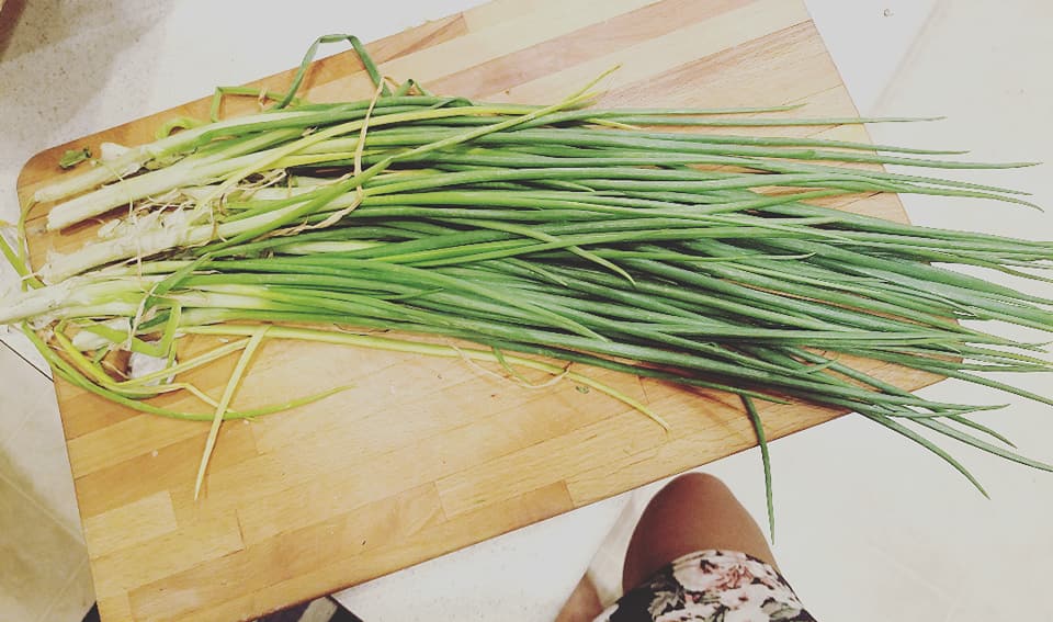 Growing Leeks in Containers: A Step-By-Step Guide
