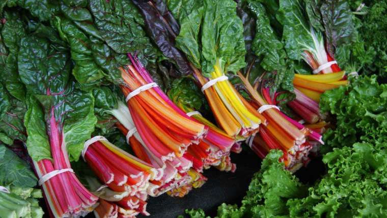 Growing Swiss Chard in Containers: A Step-By-Step Guide