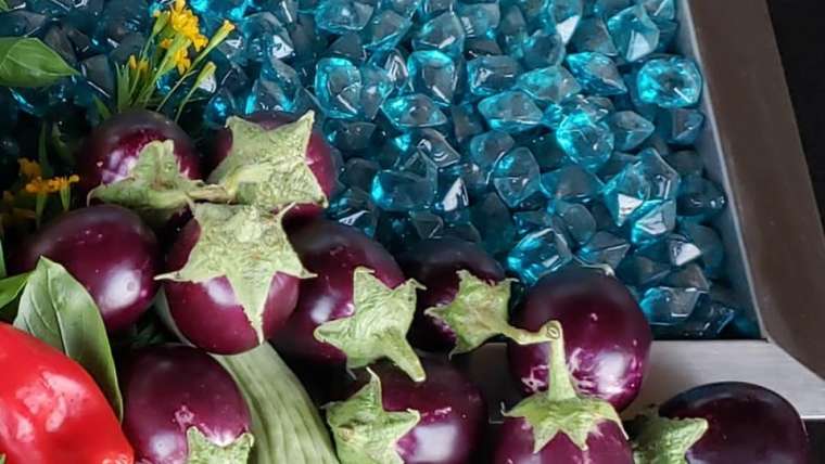 Growing Eggplants in Containers: A Step-By-Step Guide