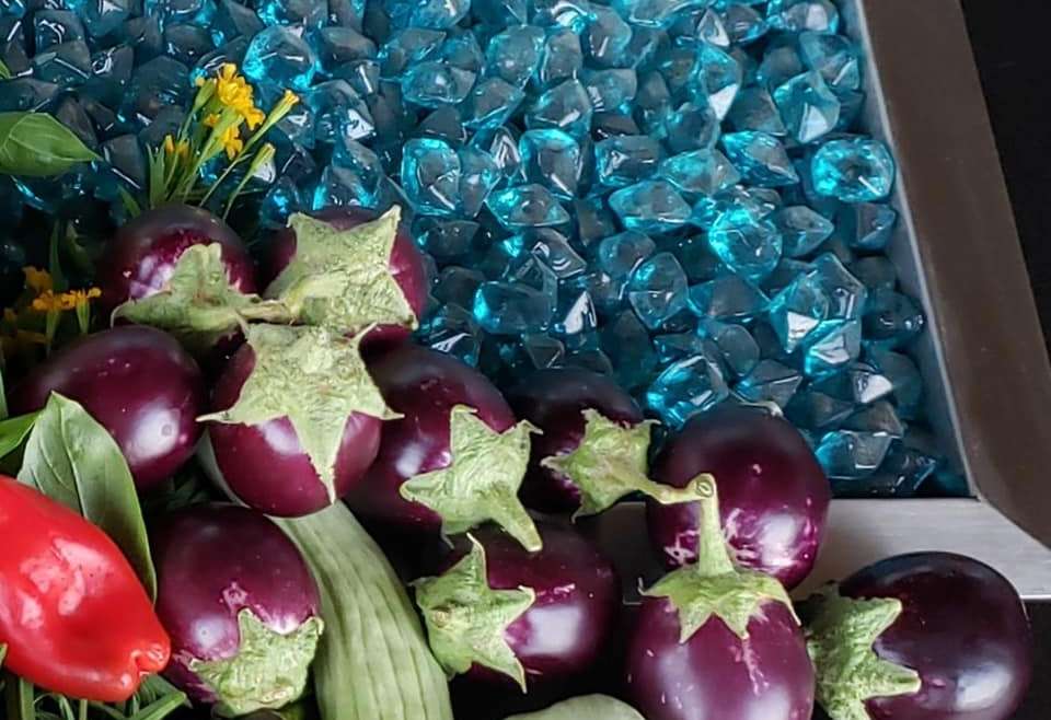 Growing Eggplants in Containers: A Step-By-Step Guide