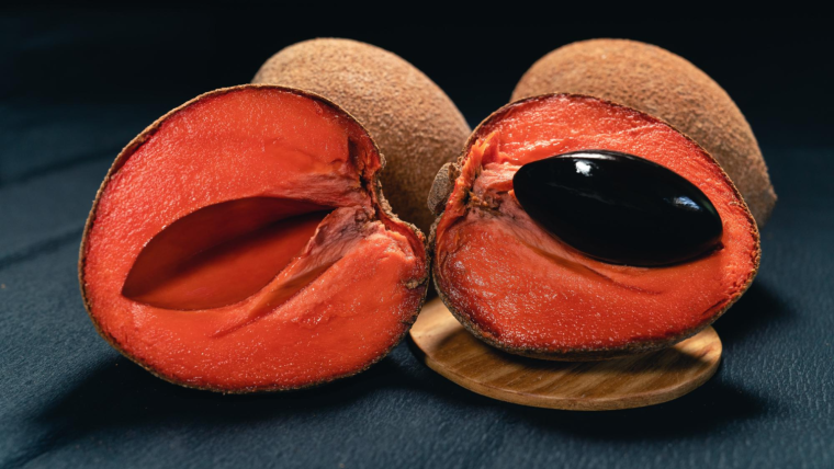 Growing Mamey Sapote in Containers: A Step-By-Step Guide