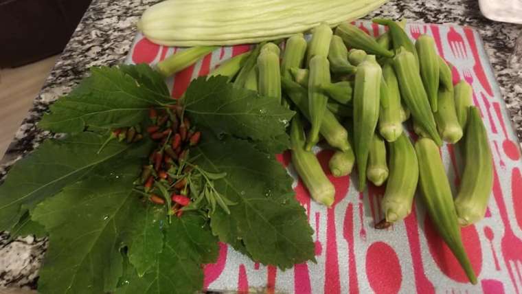 Growing Okra in Pots: A Step-By-Step Guide