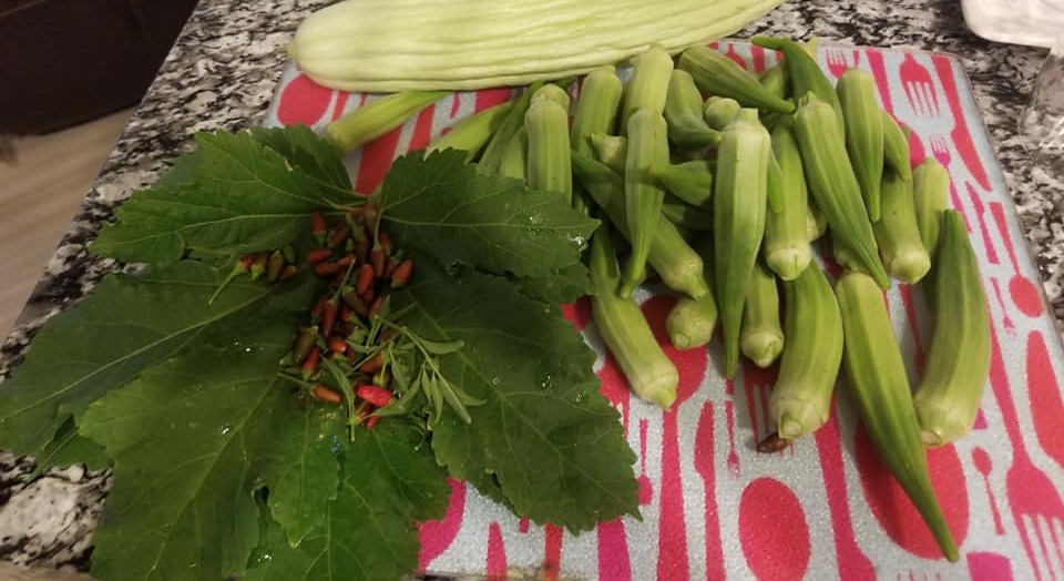Growing Okra in Pots: A Step-By-Step Guide