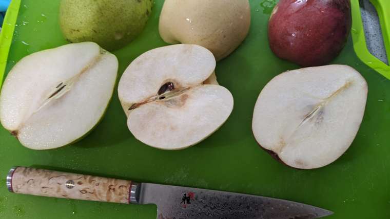 Growing Pears in Containers: A Step-By-Step Guide