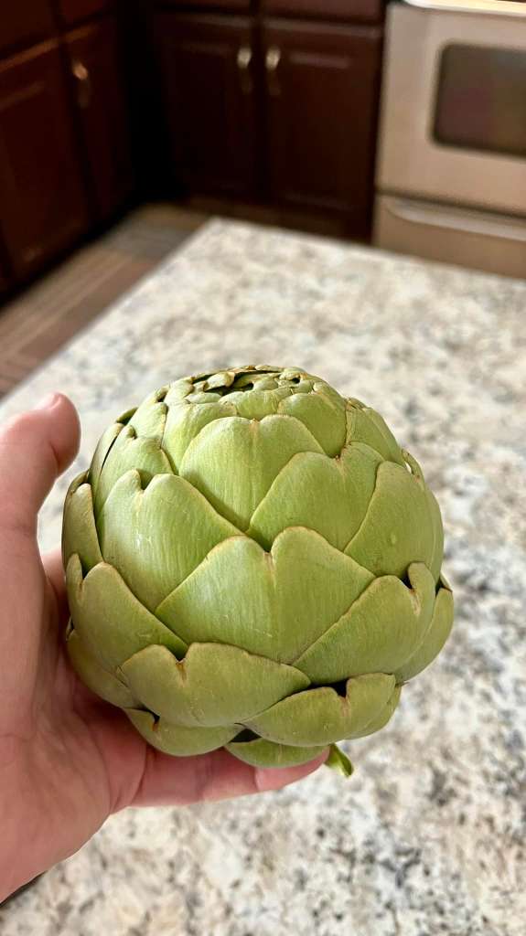 Growing Artichokes