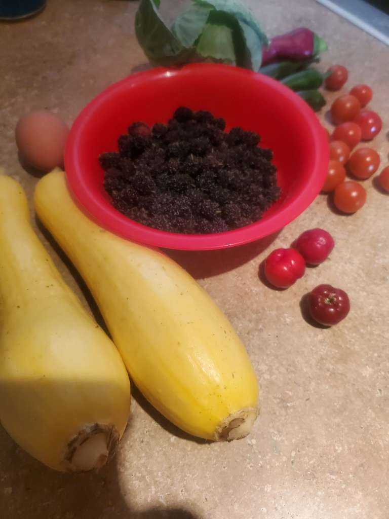 Best Companion Planting for Squash