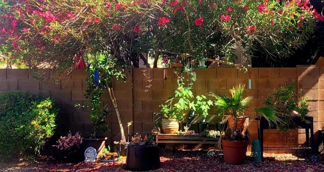 The Best Companion Planting for Blueberries