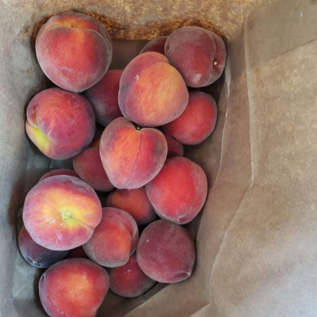 Companion Planting for Peaches