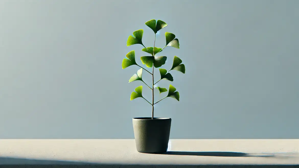 Growing Ginkgo Biloba in Pots: A Step-By-Step Guide