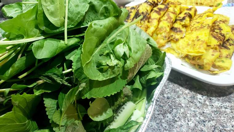 Growing Sorrel in Pots: A Step-By-Step Guide