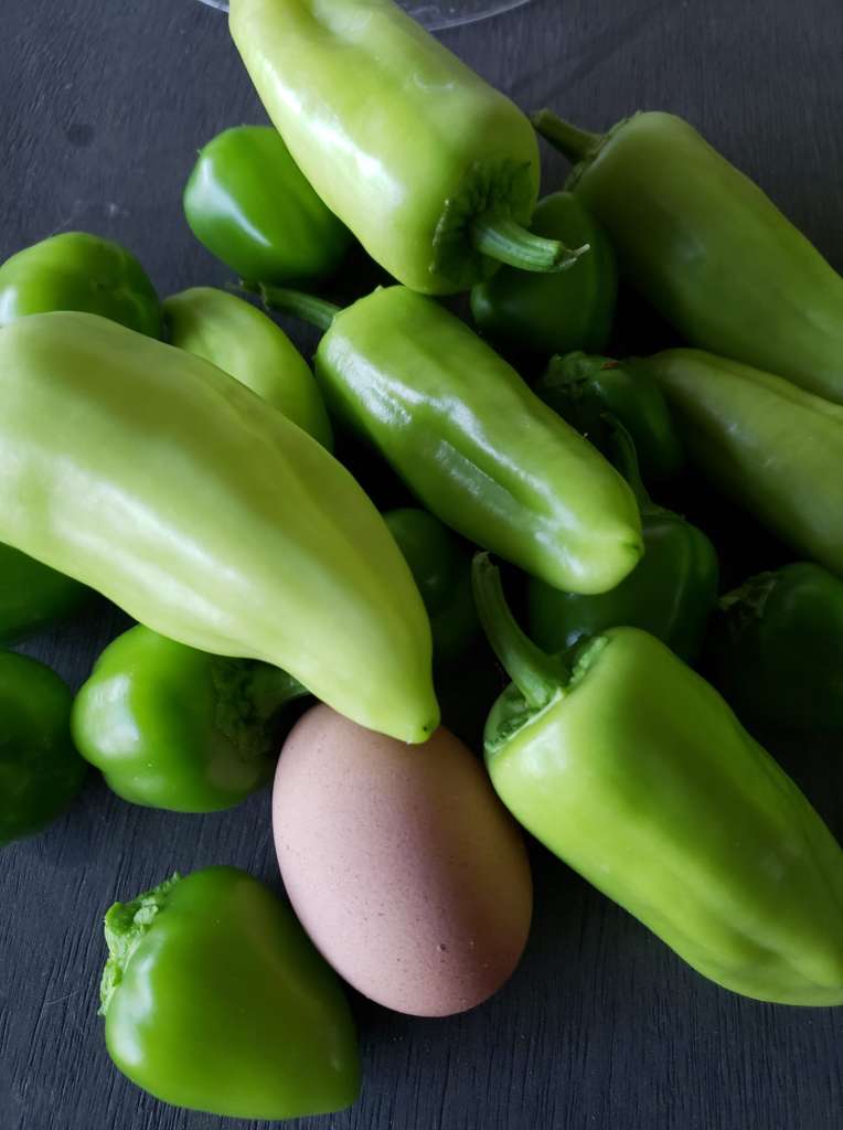 Peppers as Companion Plants for Basil