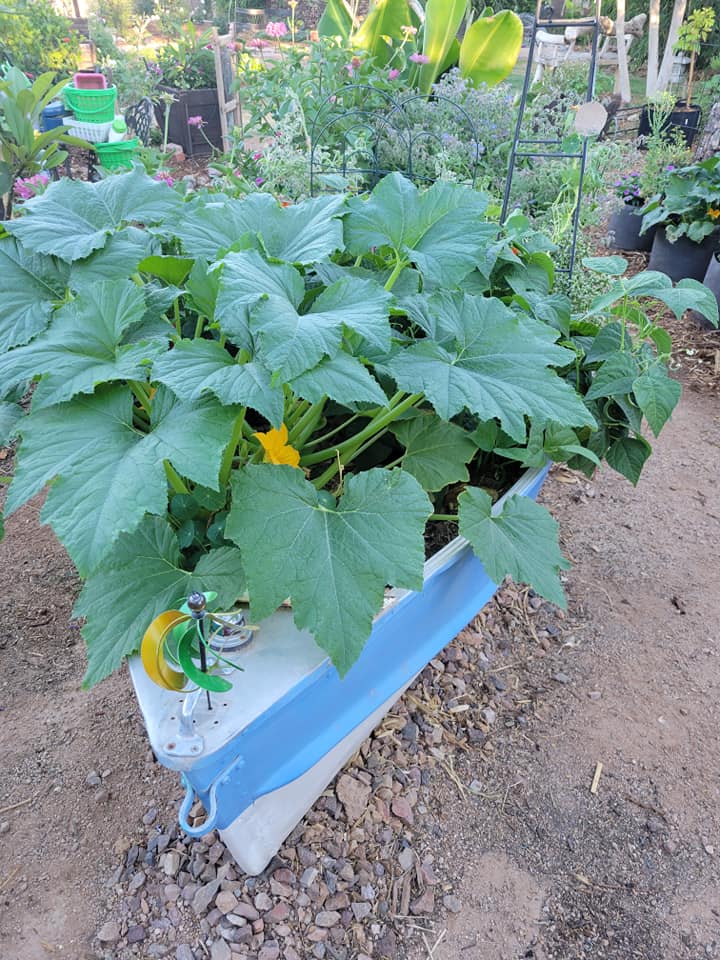 Unique Garden Landscaping Idea