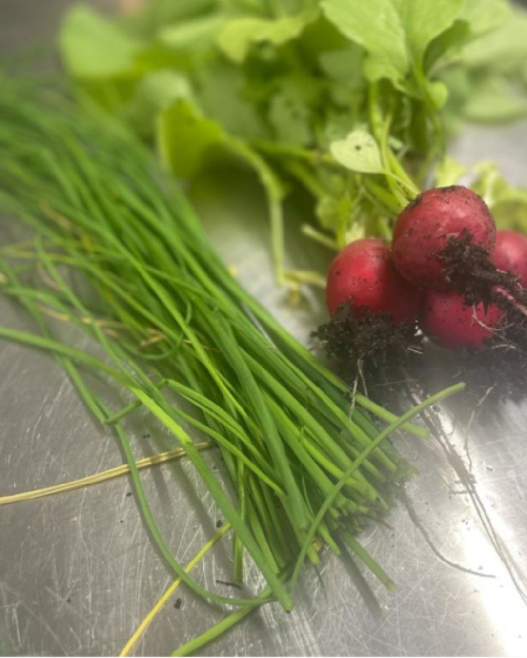 The Best Companion Planting for Chives