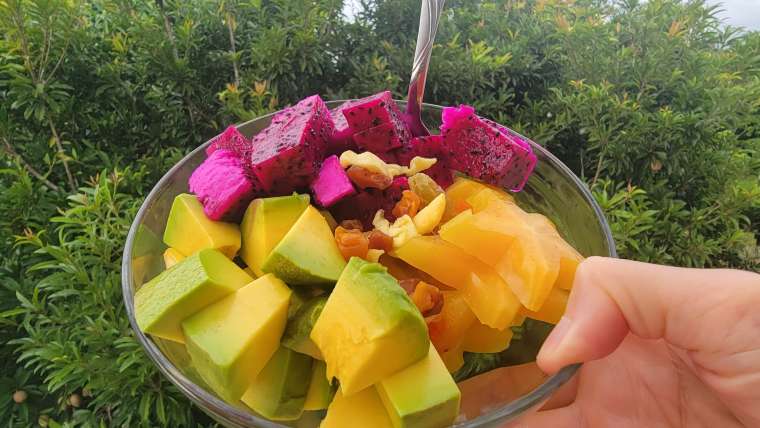 The Best Companion Planting for Dragon Fruit