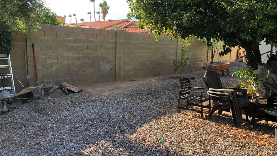 The Best Companion Planting for Shallots