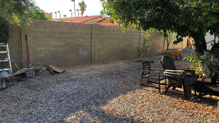 The Best Companion Planting for Shallots