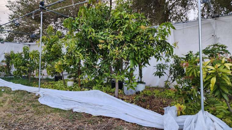 Spring Gardening: What to Plant and How to Prepare your Garden