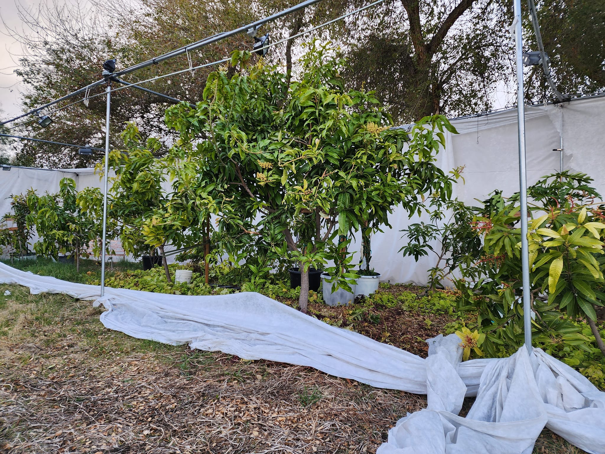 Spring Gardening What To Plant And How To Prepare Your Garden