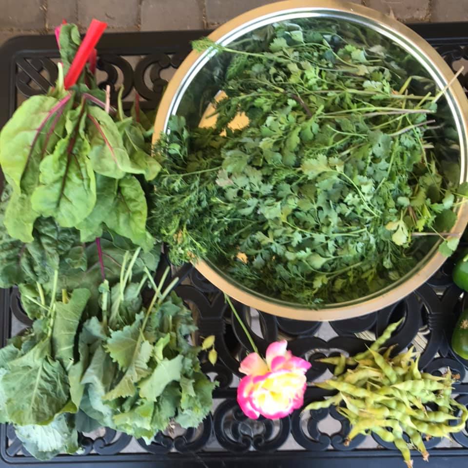 Why You Should Consider Companion Planting for Swiss Chard