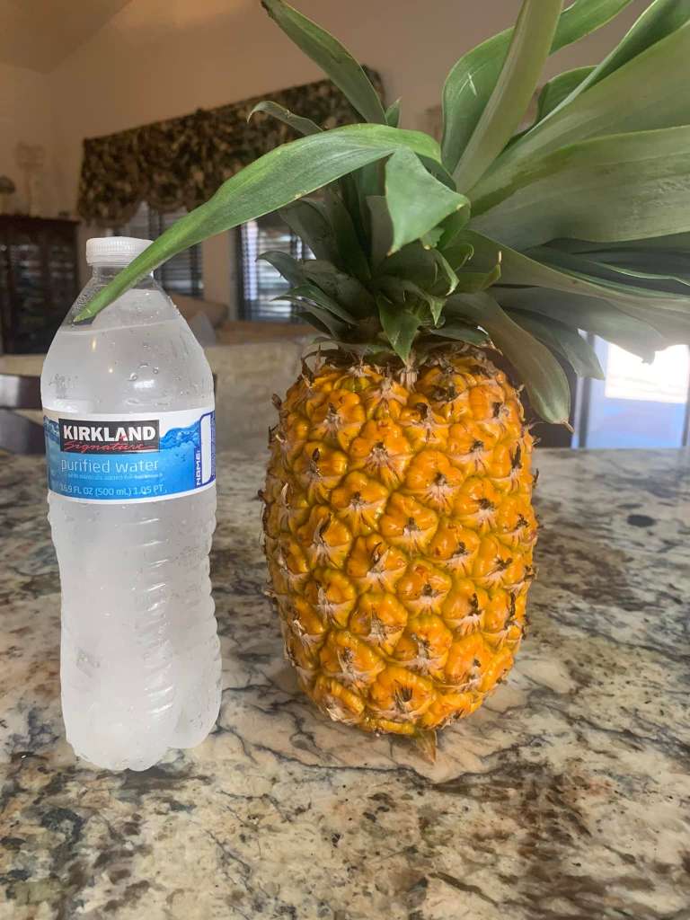 Why You Should Consider Companion Planting for Pineapples