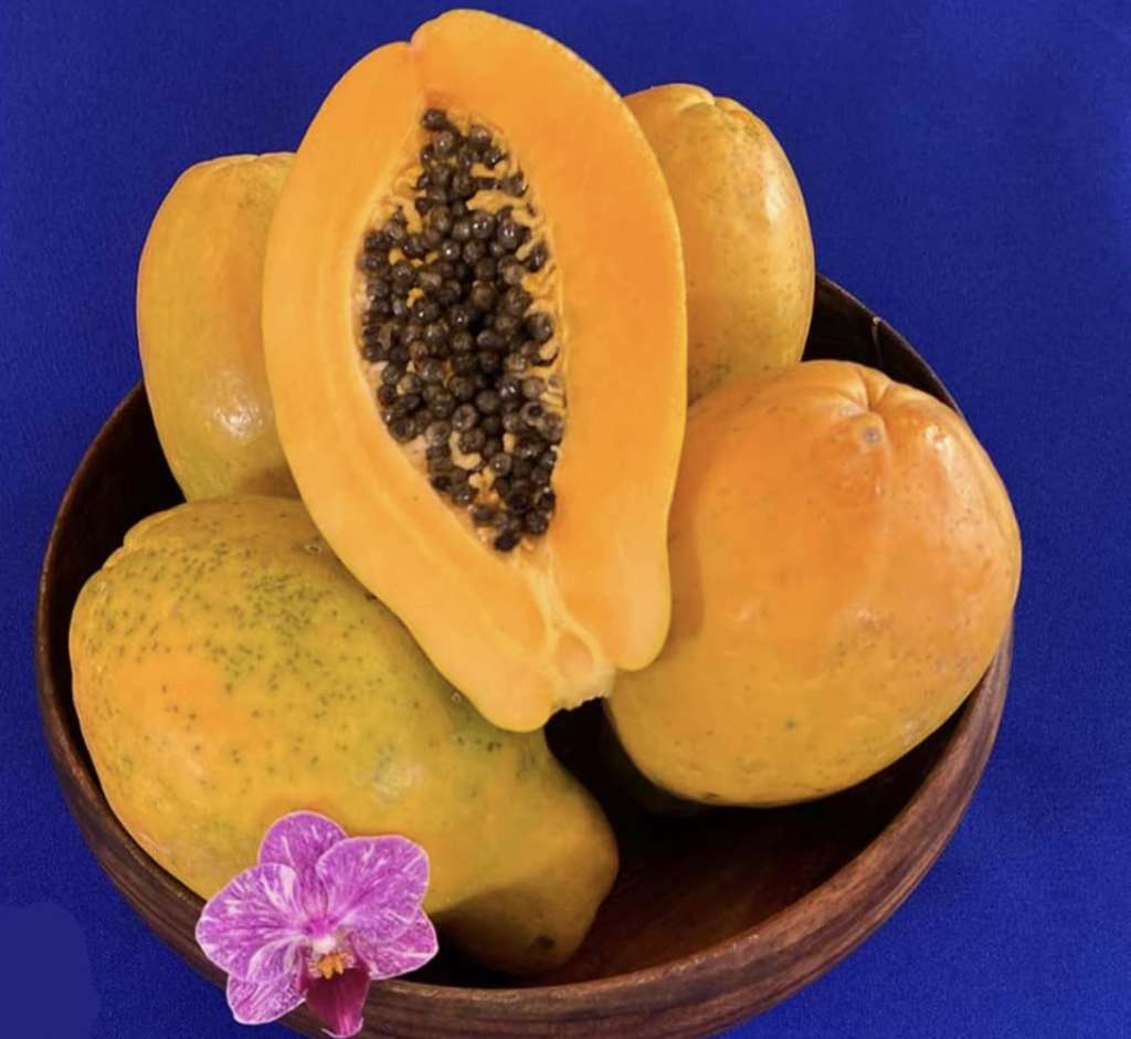 Companion Planting for Papaya trees