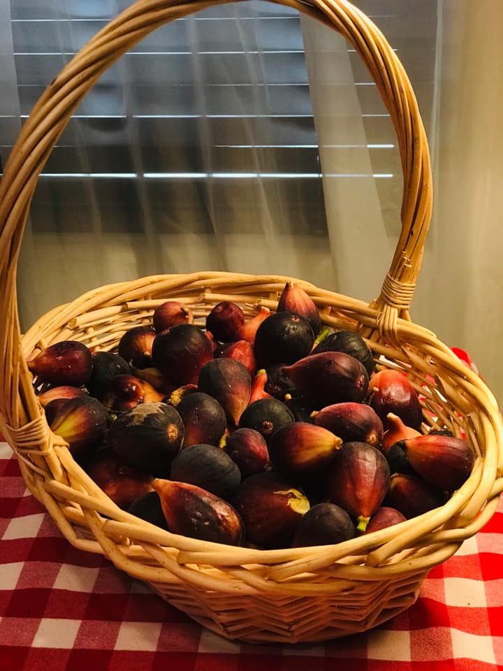 The Best Companion Planting for Figs