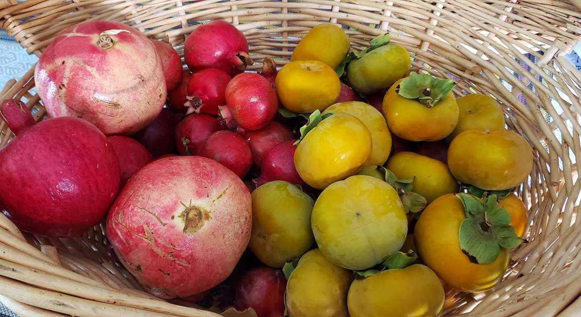 The Best Companion Planting for Persimmon Trees