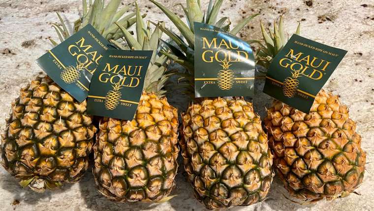 The Best Companion Planting for Pineapples