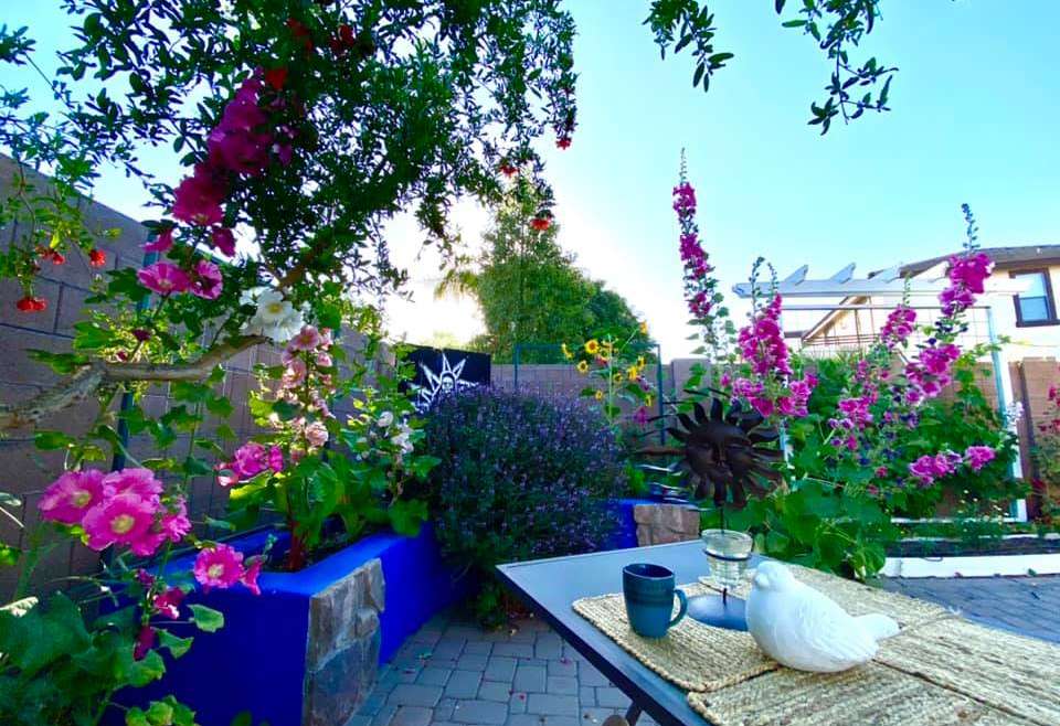 The Best Companion Planting for Hollyhocks