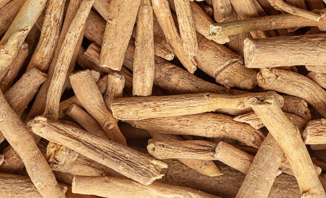 Companion Planting for Ashwagandha: A Complete Guide