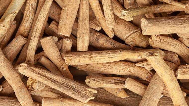 Companion Planting for Ashwagandha: A Complete Guide