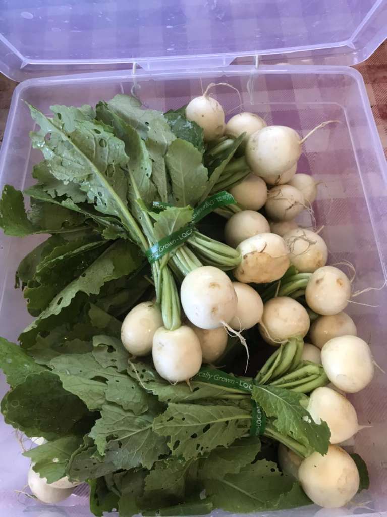 Best Companion Plants for Turnips