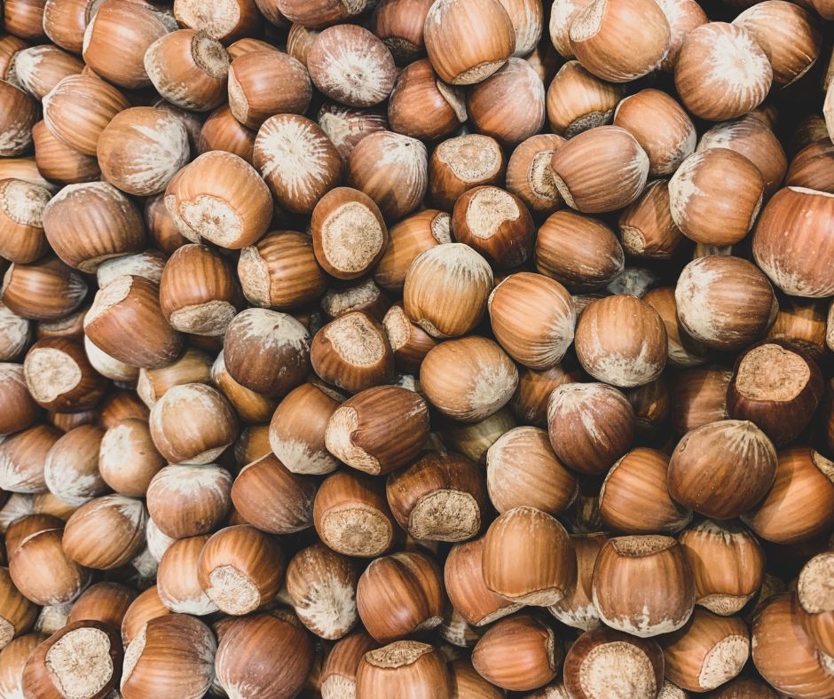Grow a Happier Hazelnut Garden Today!