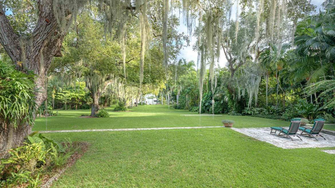 The Best Companion Planting for Oak Trees