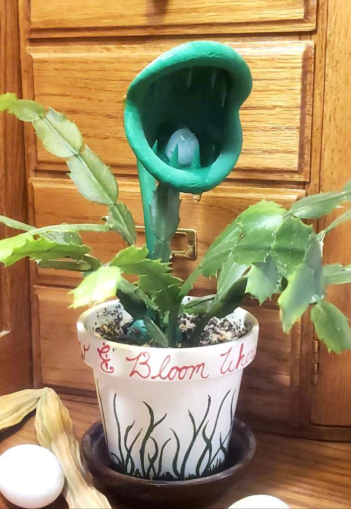 Mistakes to Avoid When Caring for Your Indoor Plants